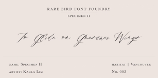 Rare Bird Specimen II Font Download