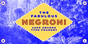 CA Negroni Font Download