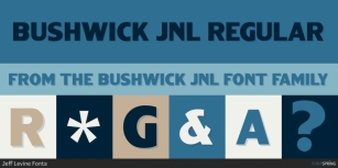 Bushwick JNL Font Download