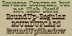 RoundUp Font Download