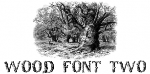 WoodFontTwo Font Download