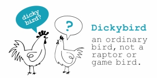 Dickybird Doodles Font Download