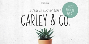 Carley Co Font Download