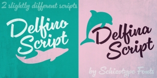 Delfino & Delfina Script Font Download