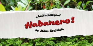 Habanero Font Download