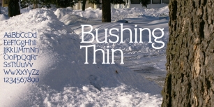 Bushing Font Download