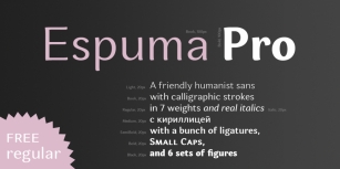 Espuma Pro Font Download