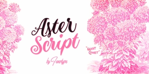 Aster Script Font Download