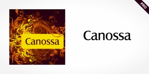 Canossa Pro Font Download
