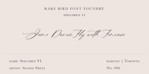 Rare Bird Specimen VI Font Download