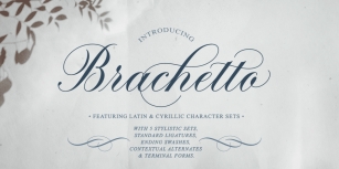 Brachetto Font Download
