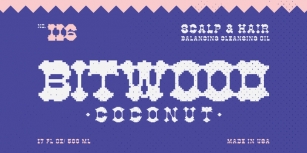 YWFT Bitwood Font Download