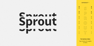 Sprout Font Download