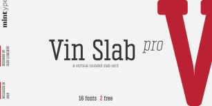 Vin Slab Pro Font Download
