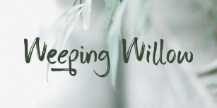Weeping Willow Font Download