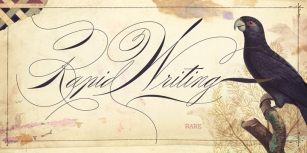 Rapid Writing Font Download