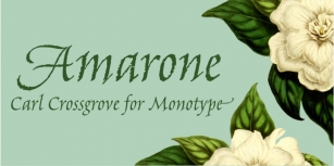Amarone Font Download