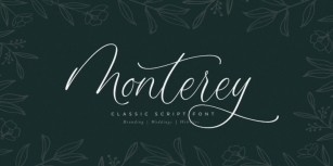 Monterey Script Font Download