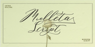 Miolleta Script Font Download