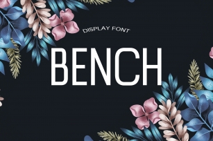 Bench Summer Font Download