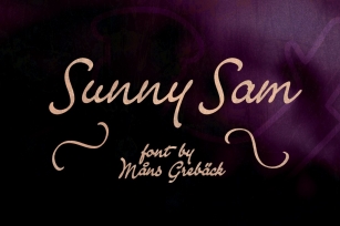 Sunny Sam Font Download