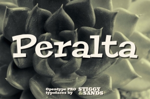 Peralta Pro Font Download