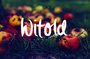 Witold Script Typeface Font Download