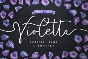 Violetta Pack Font Download