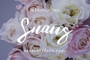 Snaus (90% off) Font Download
