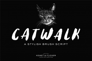 Catwalk – A Stylish Brush Script Font Download