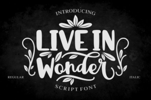 Live in Wonder Font Download