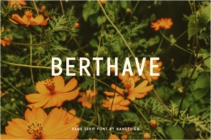Berthave Font Download