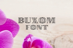 Buxom Font Download