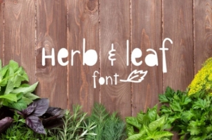 Herb  Leaf Font Download