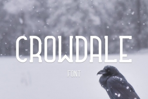 Crowdale Font Font Download