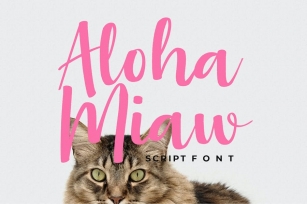 Aloha Miaw Script Font Font Download