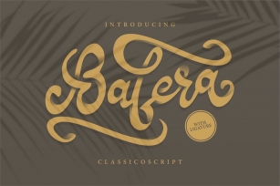 Bafera | Classico Script Font Font Download