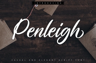 Penleigh | Casual & Elegant Script Font Font Download