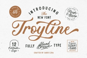 Troyline - Font Duo (+Logotype) Font Download