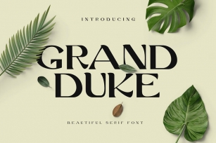 Grand Duke Beautiful Serif Font Font Download