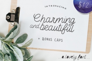 Charming and Beautiful Font Font Download