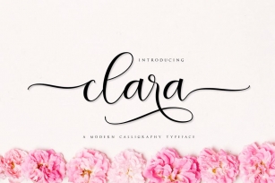 Clara - Script Font Font Download