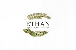 Ethan Serif Font Family Font Download