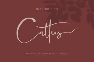 Cattus - Modern Casual Script Font Font Download