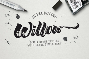 Willow Brush Font Duo Font Download