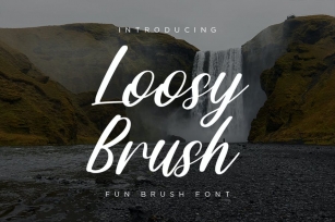 Loosy Brush - Fun Script Font Font Download