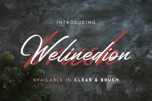 Welinedion Clear & Brush Font Download