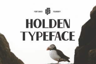 Holden VIntage Type Font Download