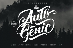 Autogenic |  Brush Lettring Font Font Download