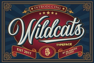 Wildcats - Copperplate Font Font Download